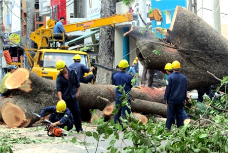 Bốn công ty công ích TP HCM bị thu hồi gần 46 tỷ đồng