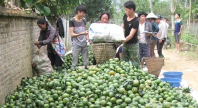  Cam Hàm Yên trúng lớn 
