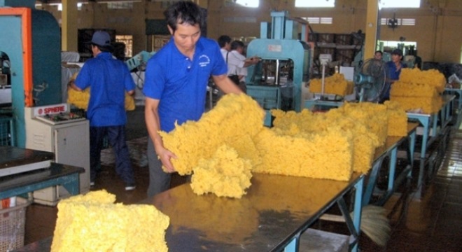  Lối thoát cho ngành cao su 