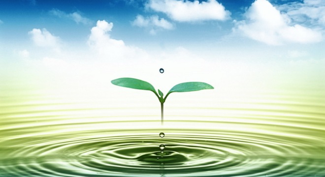  IPO Cấp nước Đồng Nai: Bán hết 100% với giá bình quân cao hơn 21% giá khởi điểm 