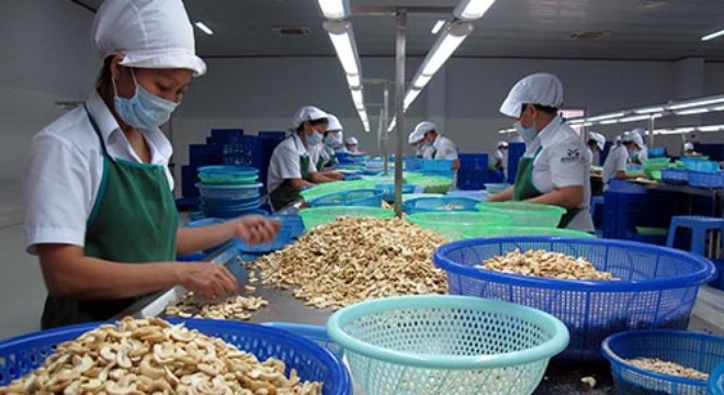  Lo thua trên sân nhà 