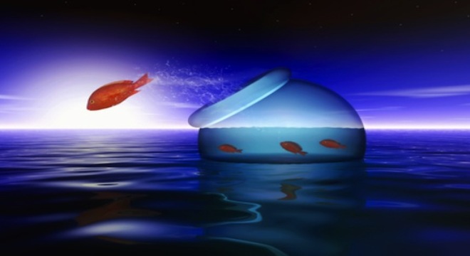  Công ty chứng khoán nhận định thị trường ngày 9/12 