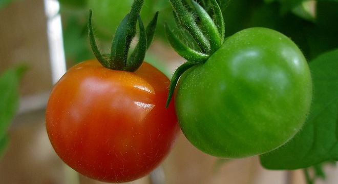  Cổ phiếu bất động sản lấy lại đà tăng, chứng khoán vẫn đỏ vỏ xanh lòng 