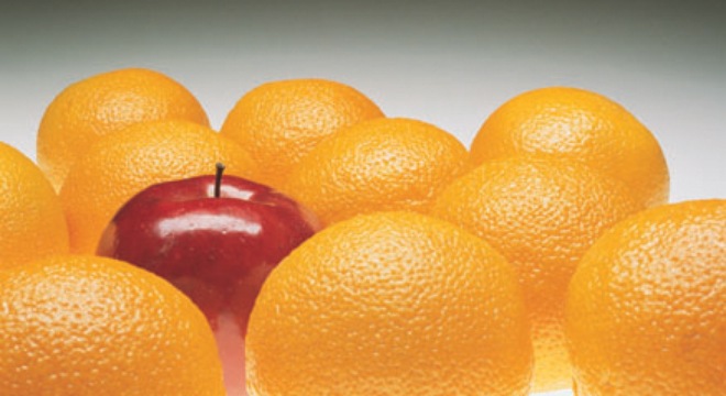  [Chứng khoán 18/11] Nhà đầu tư lại 