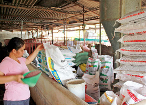 Bộ Tài chính yêu cầu giảm giá phân bón, thức ăn chăn nuôi