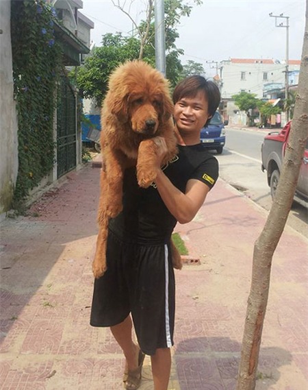 Kiếm tiền tỷ từ nuôi thú 