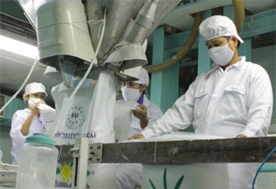 Mía đường bối rối trước ngã ba