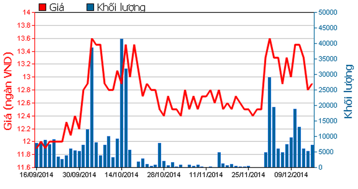 Ông Nguyễn Đình Tùng mua thành công 160.000 cổ phiếu TCO
