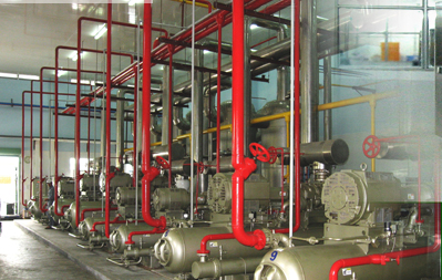 Nhận 1,2 triệu cổ phiếu SRF từ Vinmilk, Taisei Oncho nâng sở hữu Kỹ Nghệ Lạnh lên gần 25%