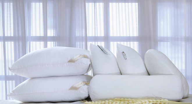  Chứng khoán IB trở thành cổ đông lớn của Everpia Việt Nam 