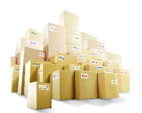 Nội Bài Cargo đang hoàn thiện hồ sơ, chuẩn bị niêm yết trên HOSE