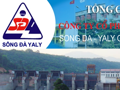 PTC đã muốn tăng thêm tỷ lệ sở hữu tại SDY