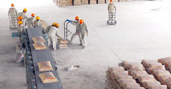 Cổ phiếu xi măng lội ngược dòng
