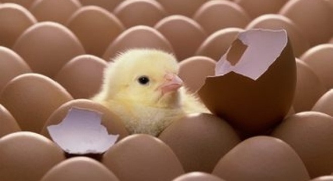  Bất ngờ những cổ phiếu tăng 40% trong một phiên 