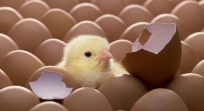  [Chứng khoán 20/11] Mỗi ngày một tin, dòng bất động sản trở lại? 