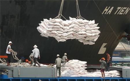 Doanh nghiệp xuất khẩu gạo Việt Nam: Vẫn loanh quanh 