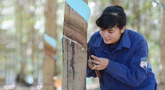  Khối ngoại bán ròng hơn 100 tỷ đồng HAG trong ngày 2/12 