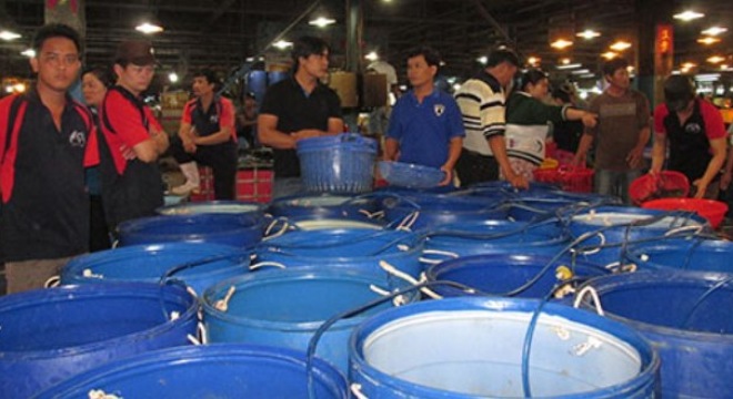  Hàng Tết sẽ đầy ắp chợ 