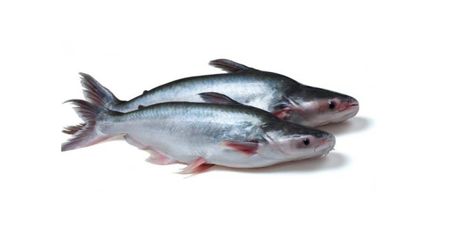  Thủy sản Hùng Vương sẽ chi 440 tỷ đồng phục vụ hoạt động nuôi trồng, mua nguyên vật liệu 