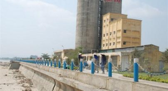  Xi măng Vicem Hải Vân bổ nhiệm tân Tổng giám đốc 