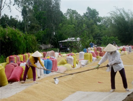 Ký hợp đồng xuất khẩu hơn 3,2 triệu tấn gạo