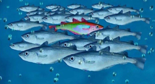  [Chứng khoán 17/11] VHG vượt đỉnh cũ, KDC tiếp tục bị khối ngoại bán ròng hơn 40 tỷ 