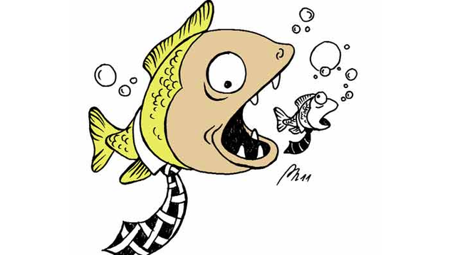  [Tuần 23/11 - 29/11] Kinh Đô hiện thực hóa kế hoạch thâu tóm Vocarimex, Chiếu xạ An Phú thu mình sáp nhập với đối thủ 