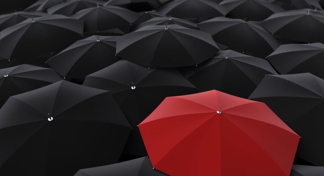  [Chứng khoán 21/11] Không phải TT 36 làm thị trường đảo chiều 