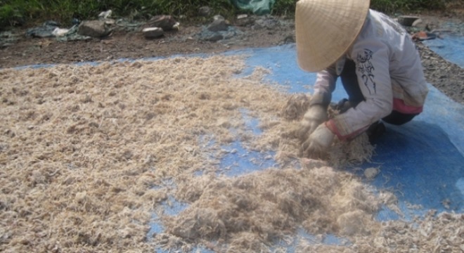  Phát hiện 4 tấn da bò dạng sợi giống hệt mực xé 