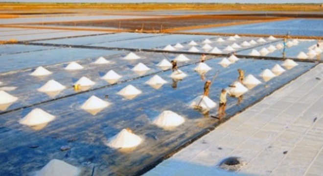  Năm 2015, cả nước sẽ thiếu khoảng 300.000 tấn muối 