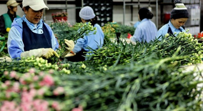  Khuyến khích doanh nghiệp mở viện nghiên cứu 