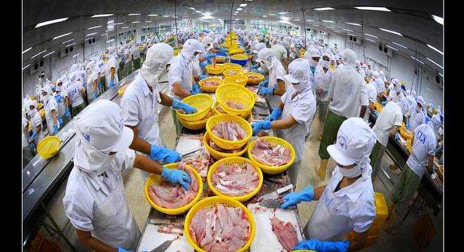  Nga muốn nhập lượng lớn táo, khoai tây, cao su, thủy sản…từ Việt Nam 