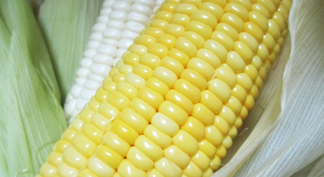  CTCP Phân bón Miền Nam sẽ chào sàn HSX ngày 1/12 giá khởi điểm 16.000 đồng/cổ phiếu 