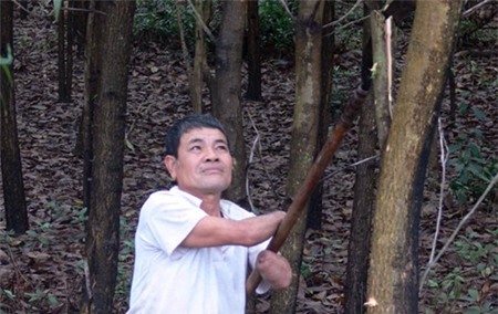 Người nông dân không tay kiếm hàng trăm triệu nhờ trồng rừng 