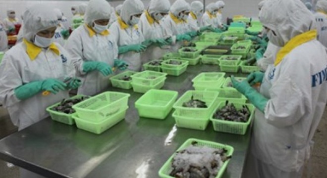  Nông nghiệp “được mùa, được giá” 