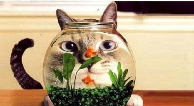  Phân tích kỹ thuật chứng khoán 22/9 