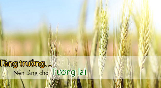  PVFCCo-SE đăng ký niêm yết trên HNX 