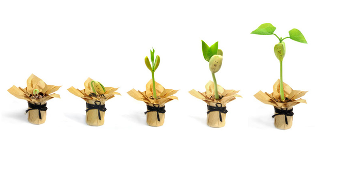  Những thương vụ...