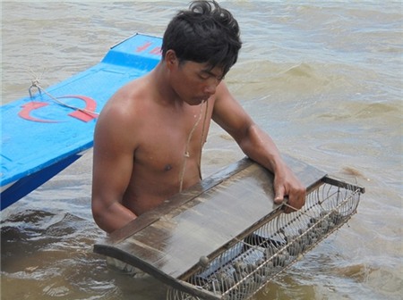 Sò huyết giá cao, cơ hội kiếm tiền tỷ cho ngư dân 