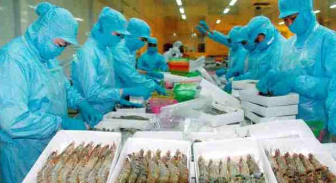  Xuất khẩu thủy sản trong năm mới sẽ gặp nhiều khó khăn 