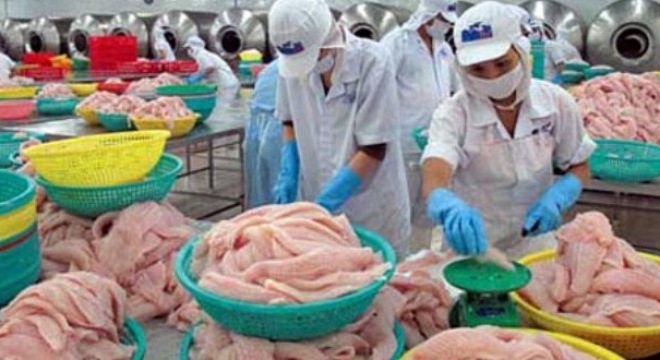  Năm 2015, thủy sản đặt mục tiêu cán đích 8 tỷ USD 