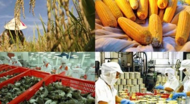  Thông tin hàng hóa nguyên liệu nổi bật ngày 23/12 