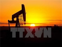 Mỹ: Số lượng giàn khoan dầu khí ngừng hoạt động tăng cao